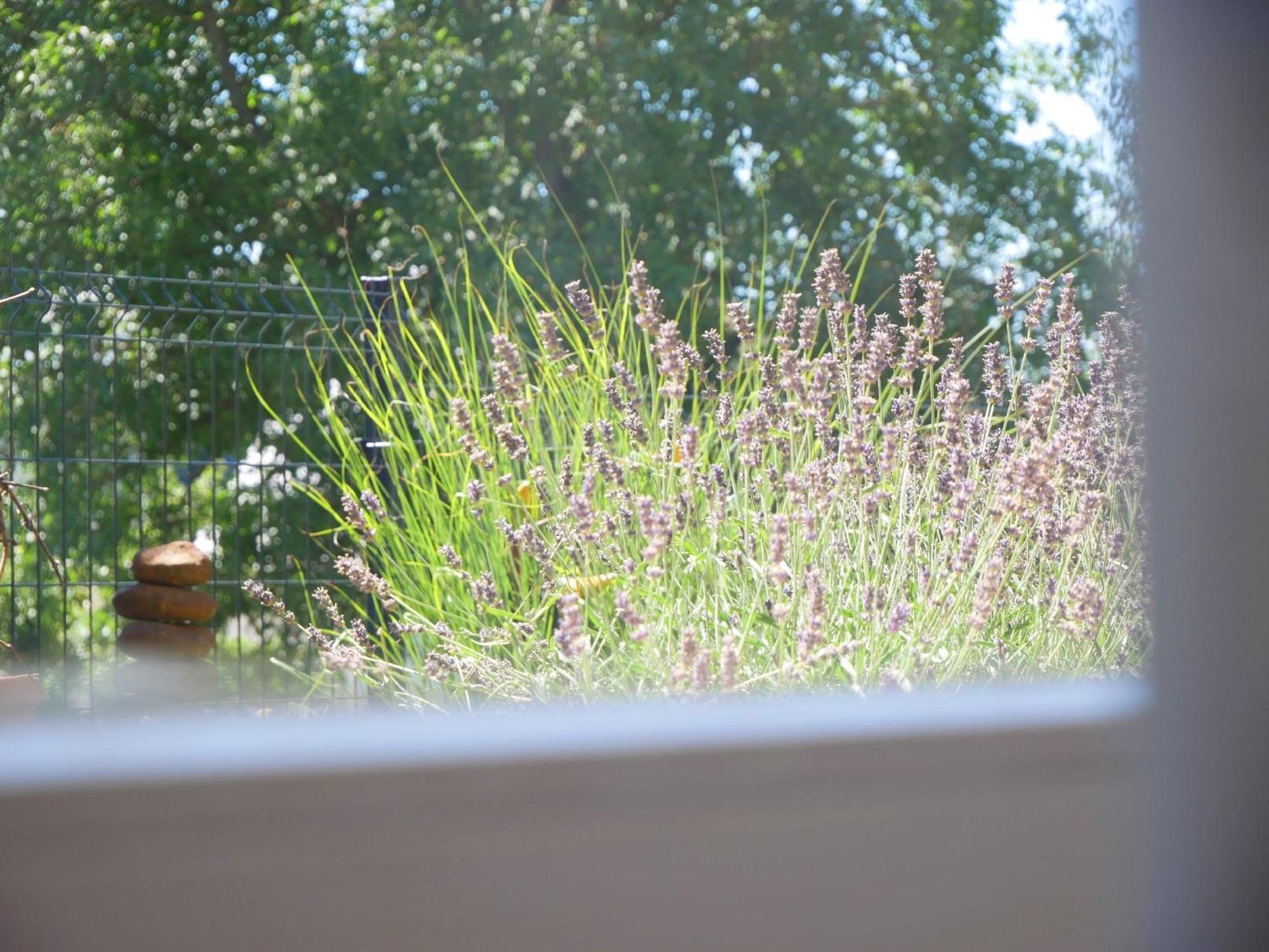 Ferienwohnung mit Garten Ehrenkirchen Exterior foto